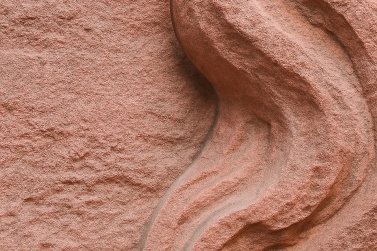 Gros plan sur la texture du grès rose du Lion de Bartholdi
